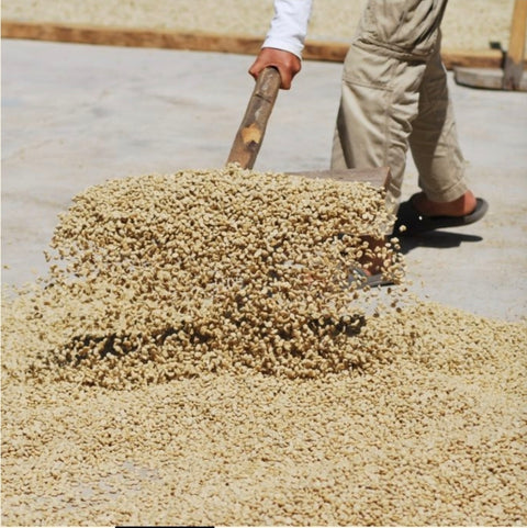 The 12-Month Journey Subscription (Prepaid)